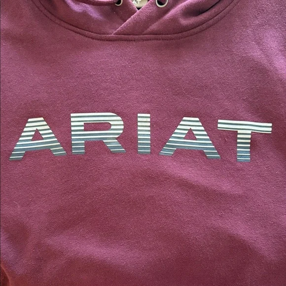 Ariat Men's Maroon Hoodie - Picture 2 of 3